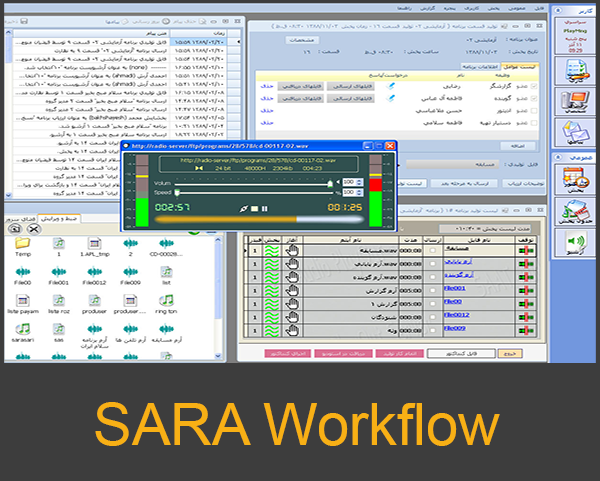 sara-workflow-1